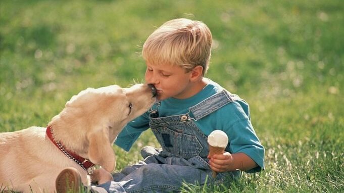 ein Kind bekommt Würmer von einem Hund